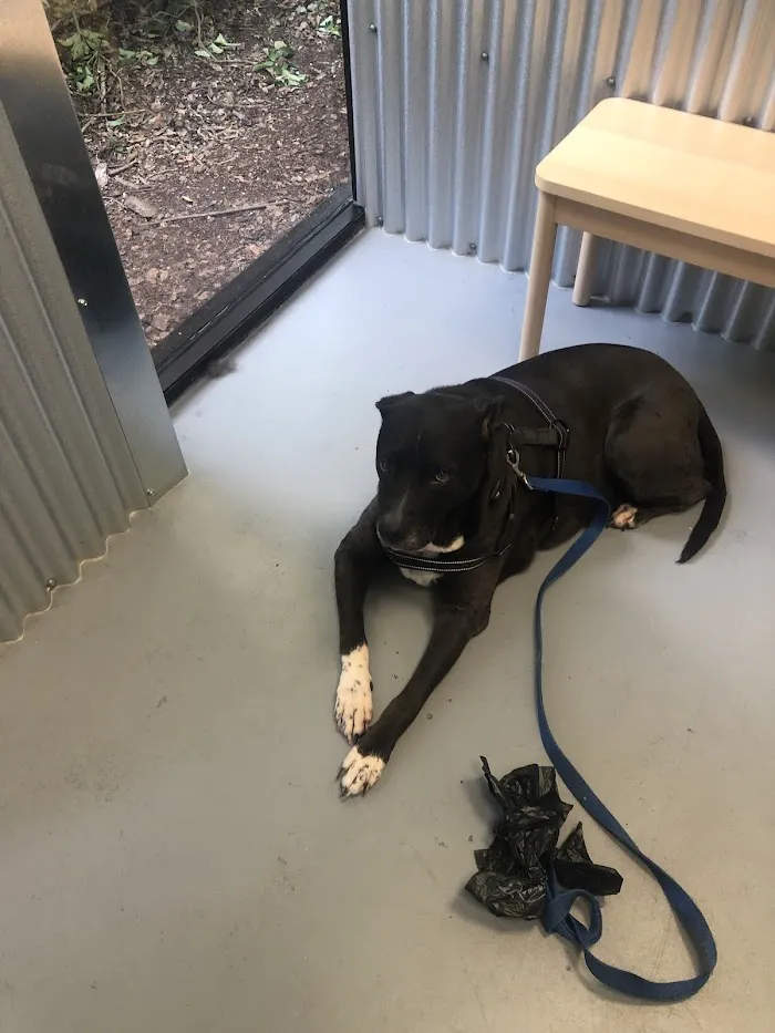 Lake Mary Veterinary Clinic 12