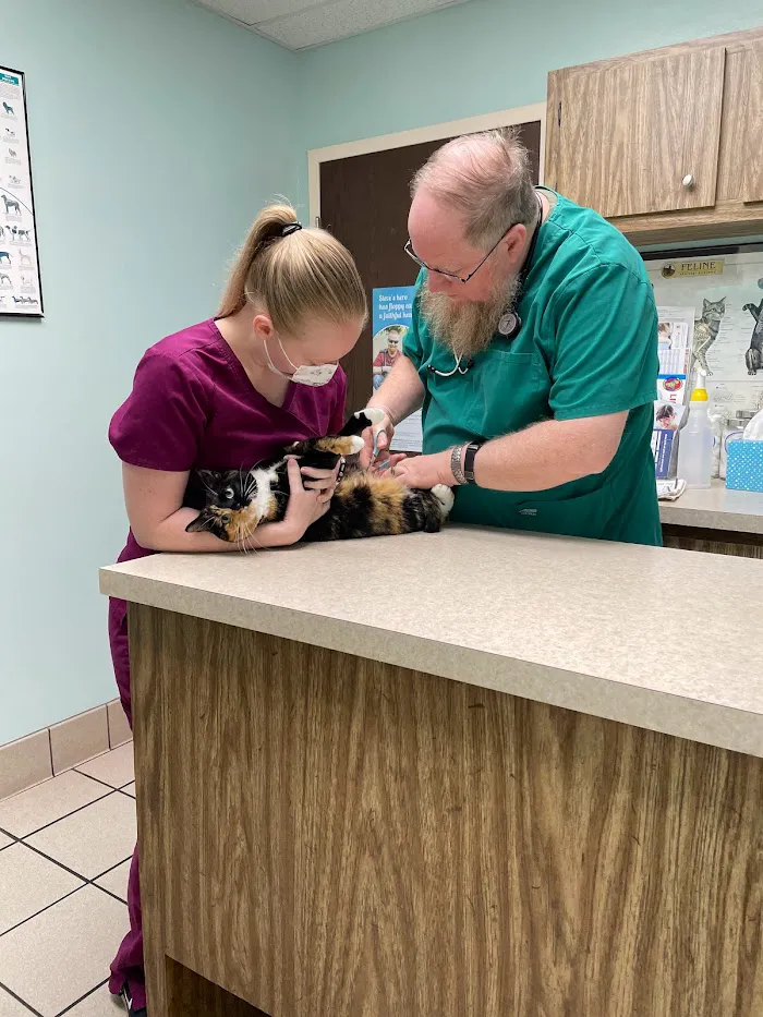 Lake Mary Veterinary Clinic 12