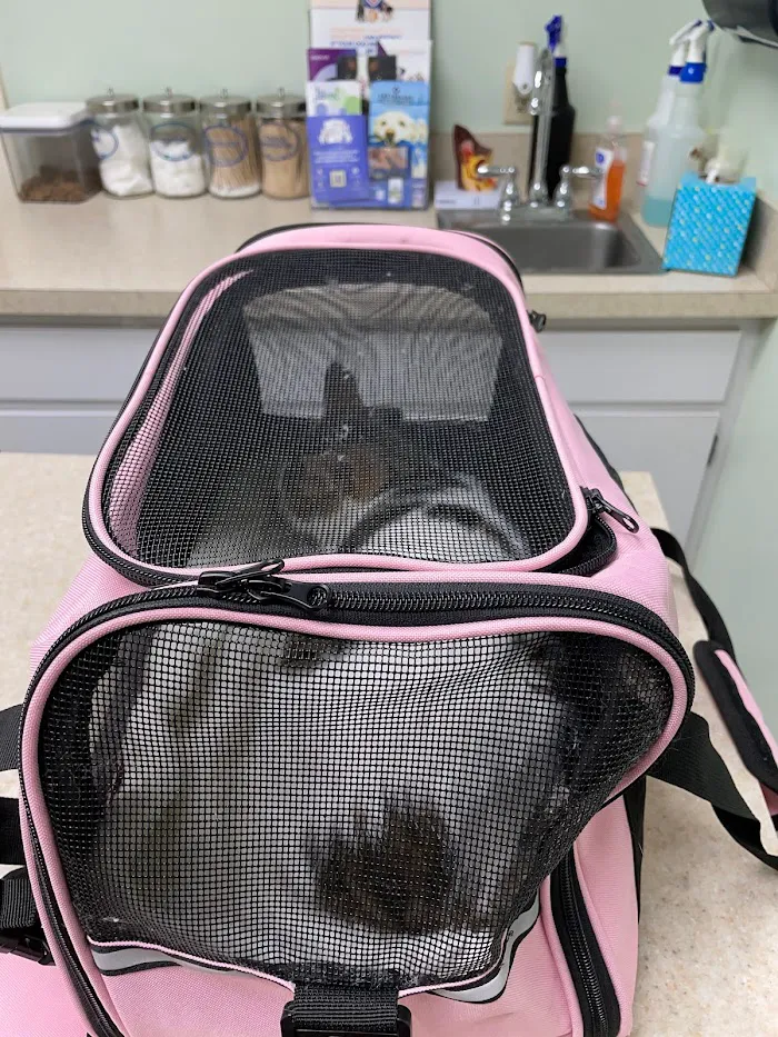Lake Mary Veterinary Clinic 12