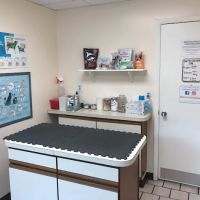 434 Animal Hospital ico