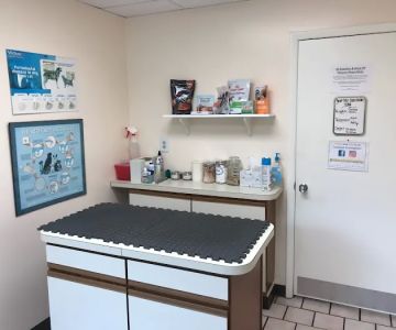 434 Animal Hospital