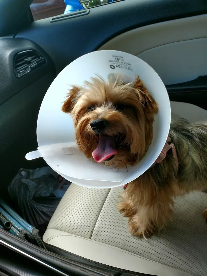 Forest City Veterinary Clinic 12