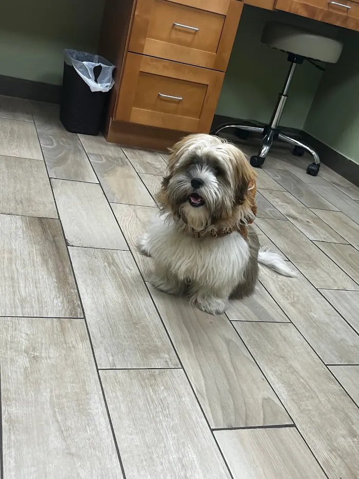 Forest City Veterinary Clinic 12