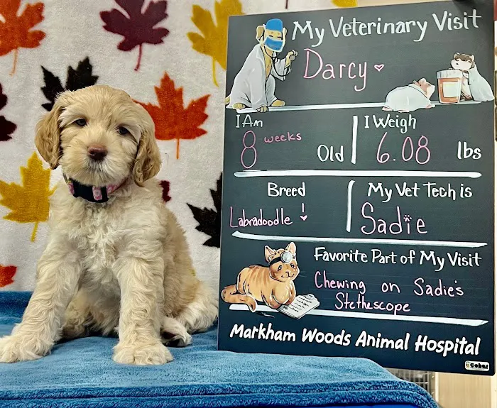Markham Woods Animal Hospital 12