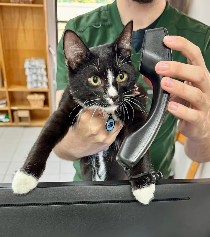 Markham Woods Animal Hospital 12