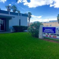 South Seminole Animal Hospital ico