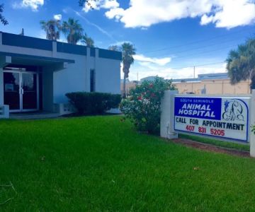 South Seminole Animal Hospital