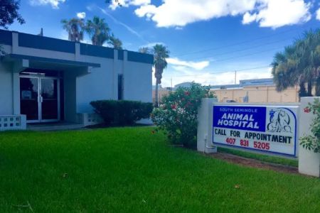 South Seminole Animal Hospital