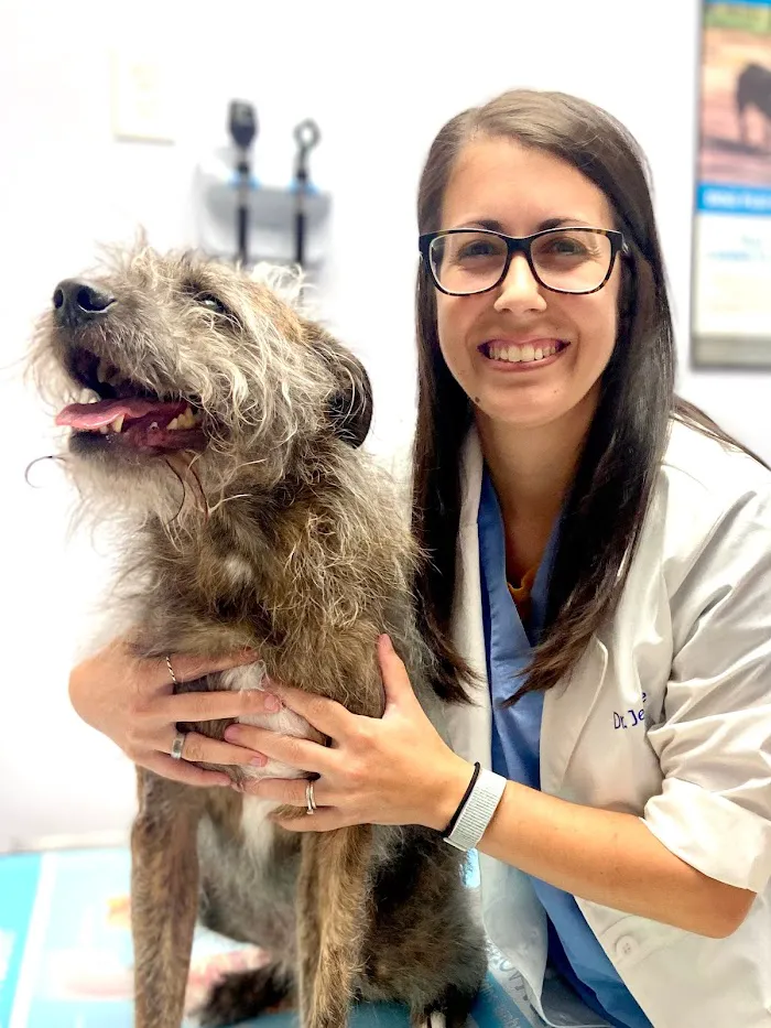 South Seminole Animal Hospital 12