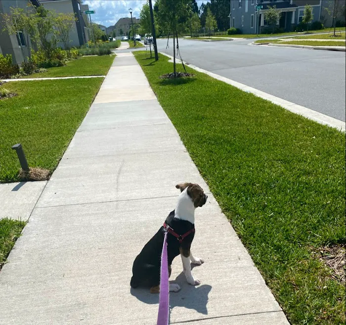 Altamonte Veterinary Hospital 12