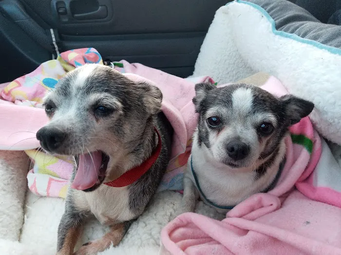 Altamonte Veterinary Hospital 12