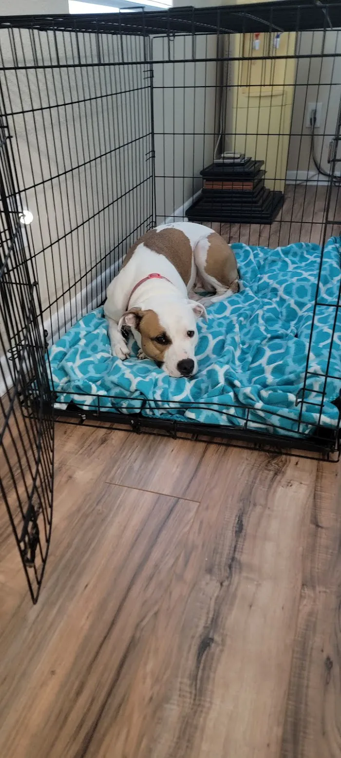 Altamonte Veterinary Hospital 12