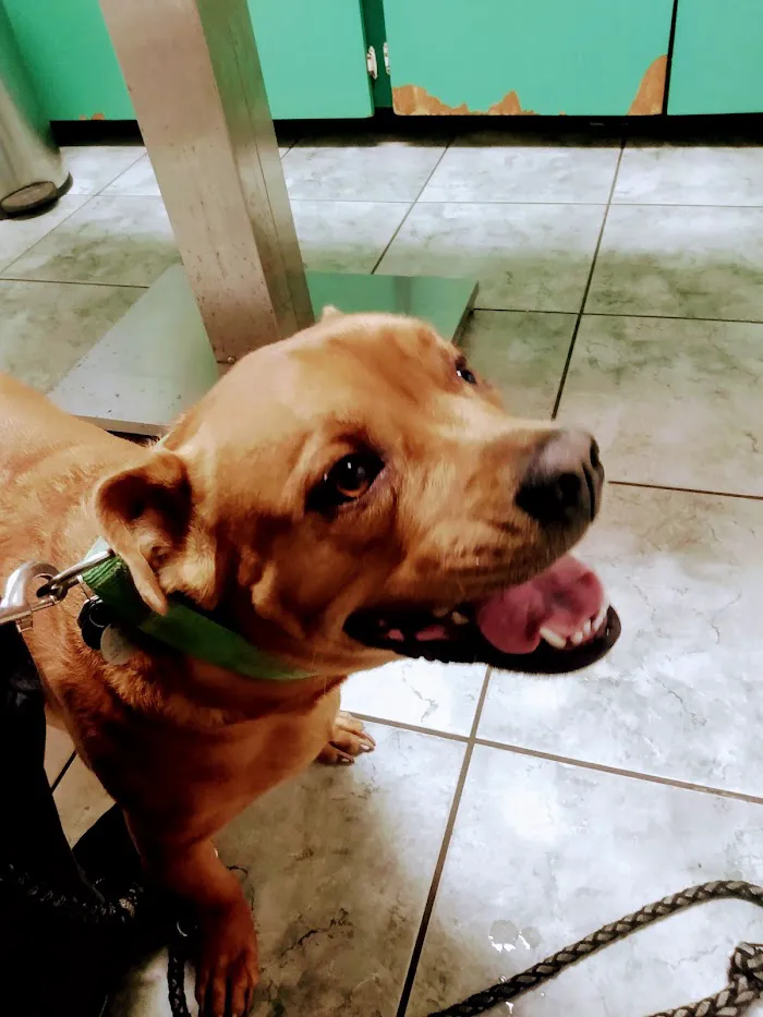 Altamonte Veterinary Hospital 12