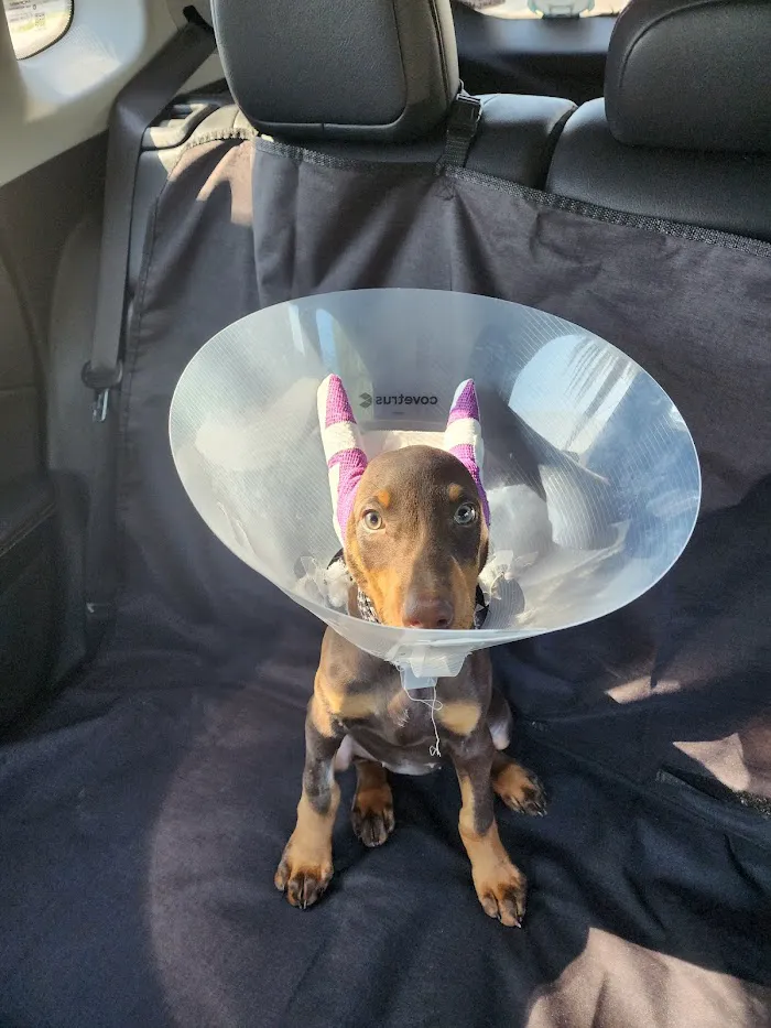 Luv-N-Care Animal Hospital 7
