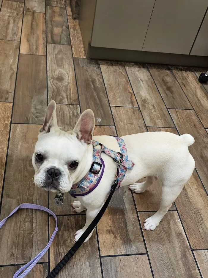 Luv-N-Care Animal Hospital 1