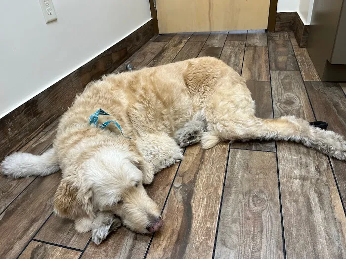 Luv-N-Care Animal Hospital 2