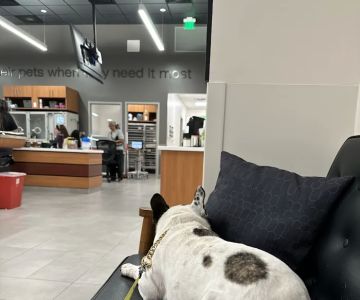 Veterinary Emergency Group
