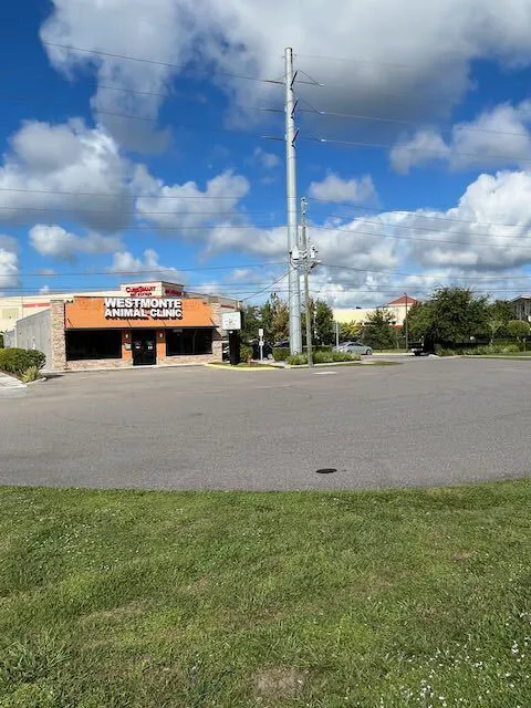 Westmonte Animal Clinic 12