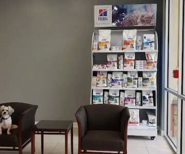 Cornerstone Veterinary Center