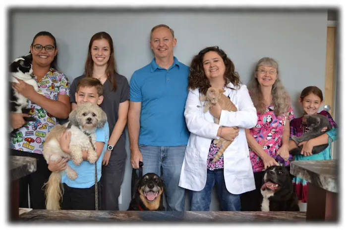 Cornerstone Veterinary Center 12