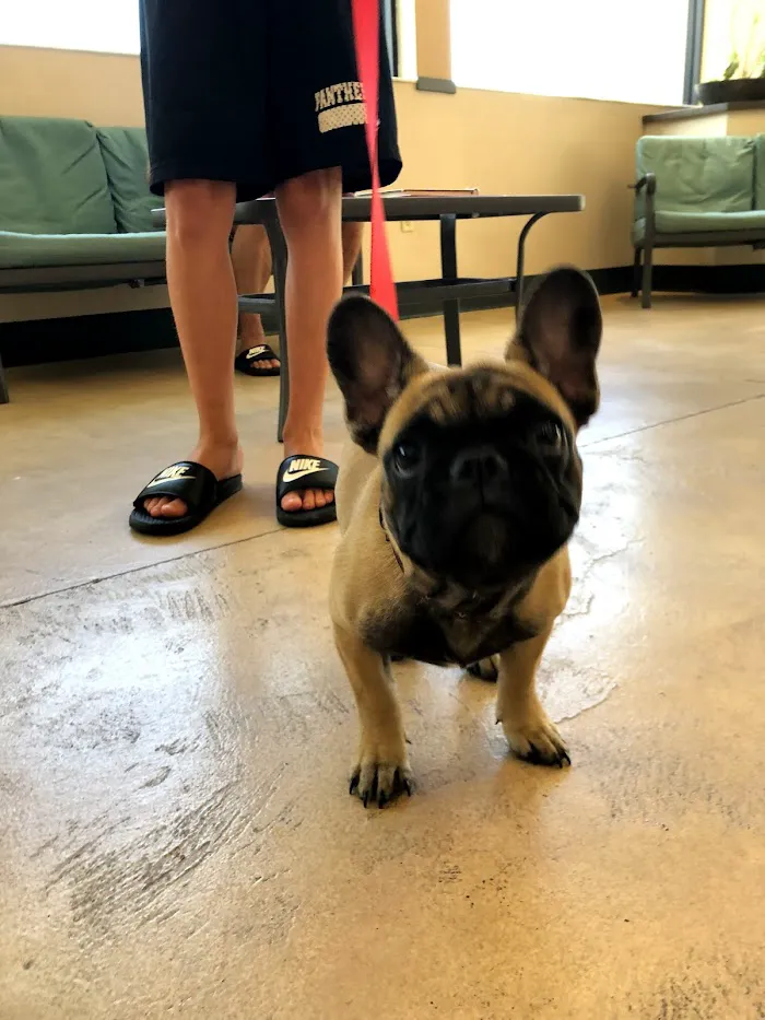 Longwood Veterinary Clinic 12