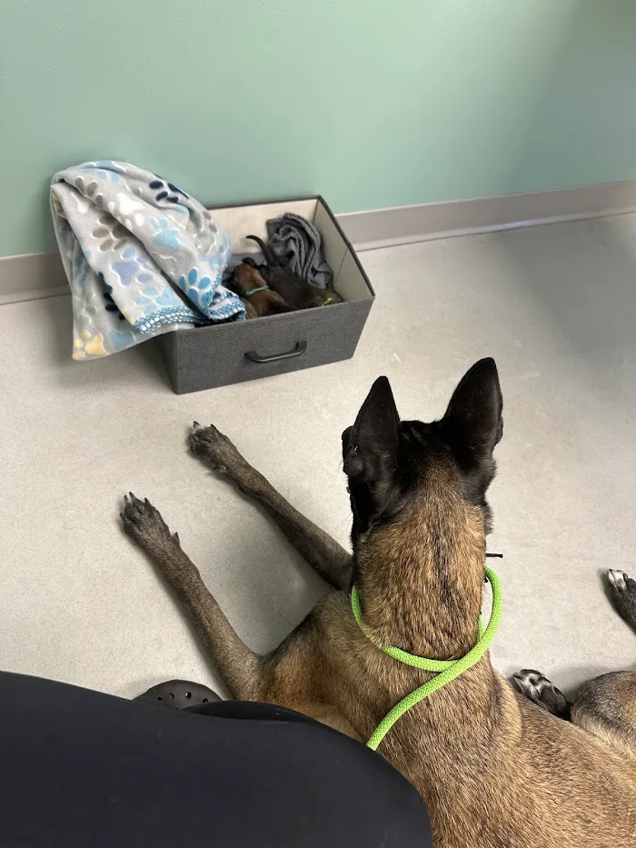 Oviedo Veterinary Care and Emergency 12