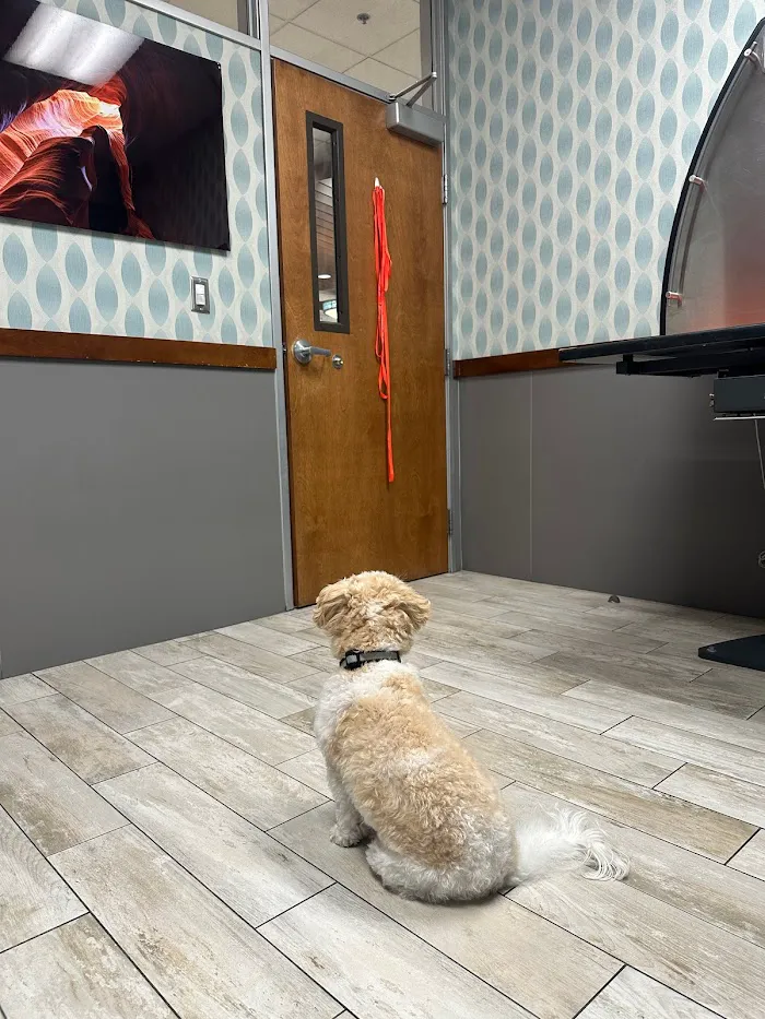 1st Pet Veterinary Centers - North Valley 12