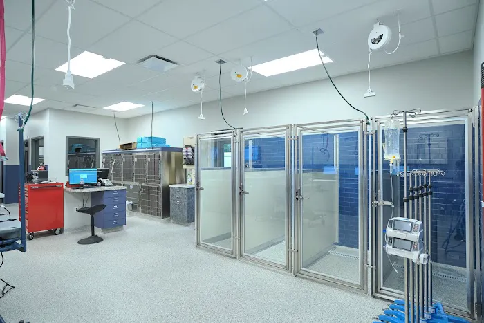 Emergency Veterinary Care Centers 12