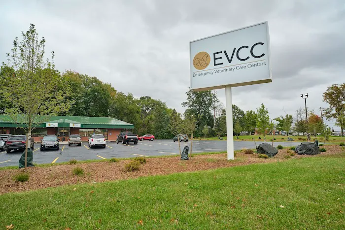 Emergency Veterinary Care Centers 12