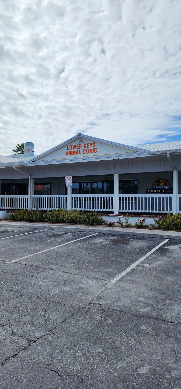 Lower Keys Animal Clinic 12