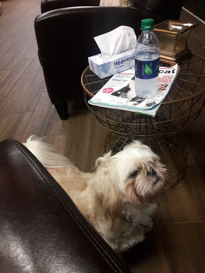 South Atlanta Veterinary Emergency & Specialty, A Thrive Pet Healthcare Partner 12