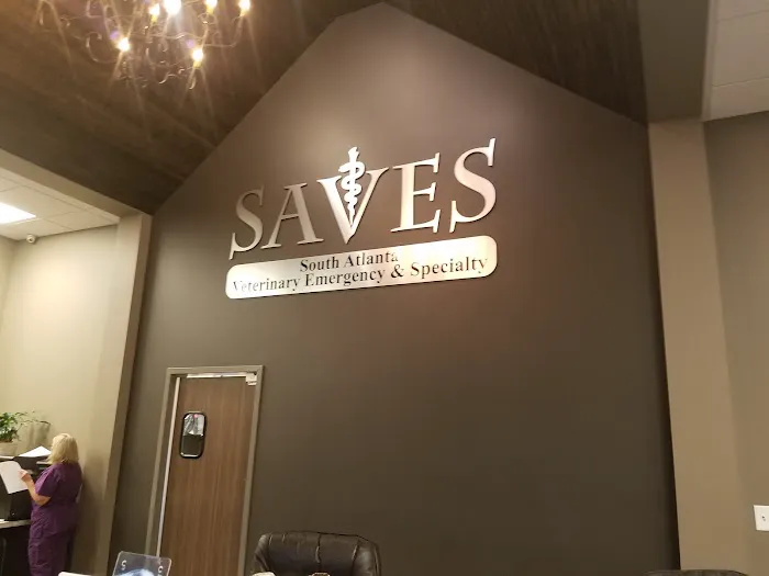 South Atlanta Veterinary Emergency & Specialty, A Thrive Pet Healthcare Partner 12