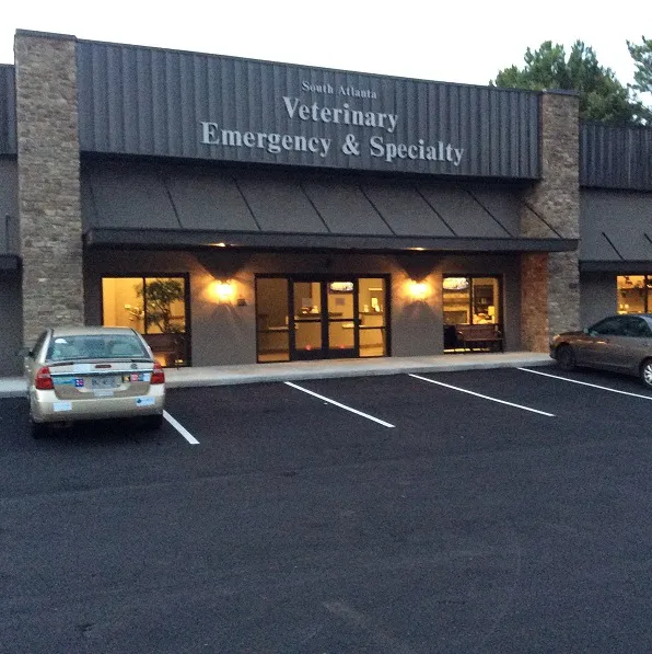 South Atlanta Veterinary Emergency & Specialty, A Thrive Pet Healthcare Partner 12