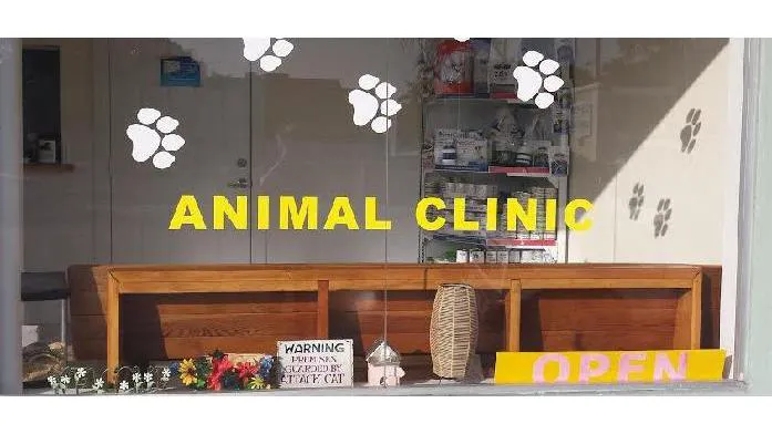 Key West Vets and Pets 12