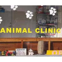 Key West Vets and Pets ico