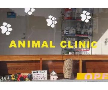 Key West Vets and Pets