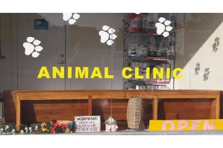 Key West Vets and Pets