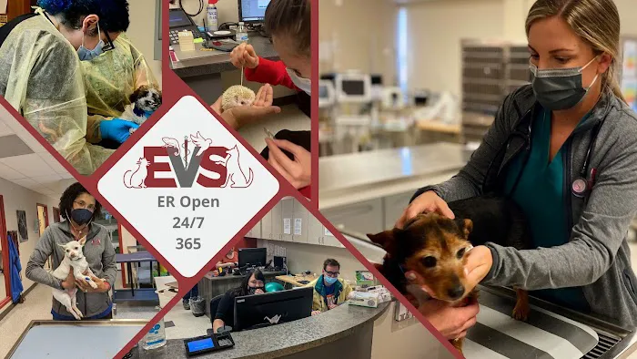 Evolution Veterinary Specialists 12