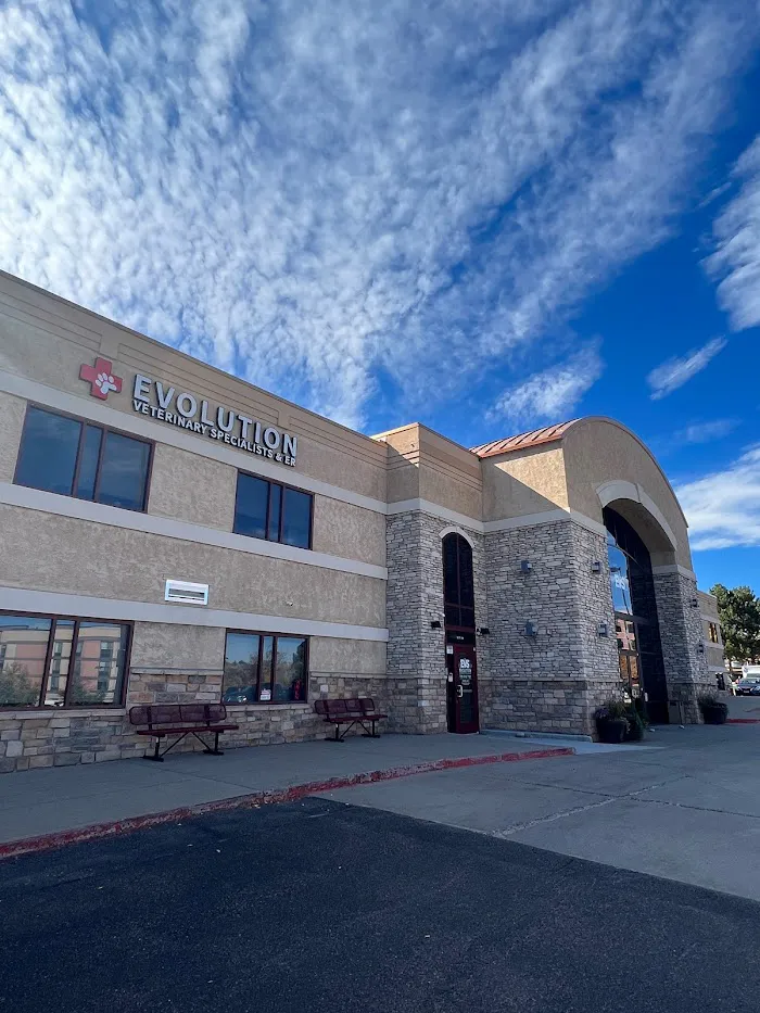 Evolution Veterinary Specialists 12