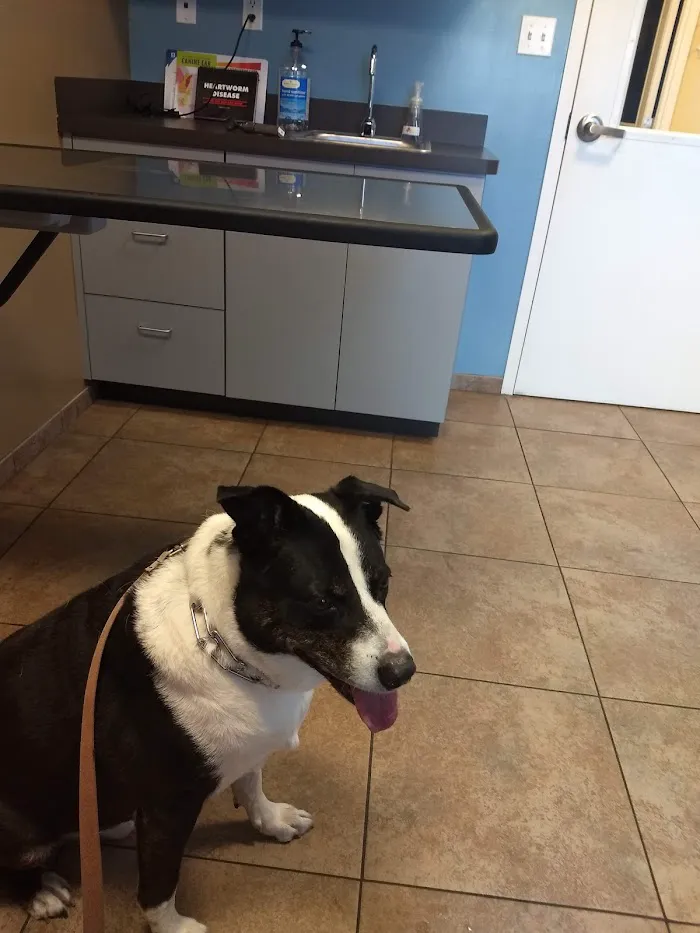 Humane Society Naples: Veterinary Clinic 12