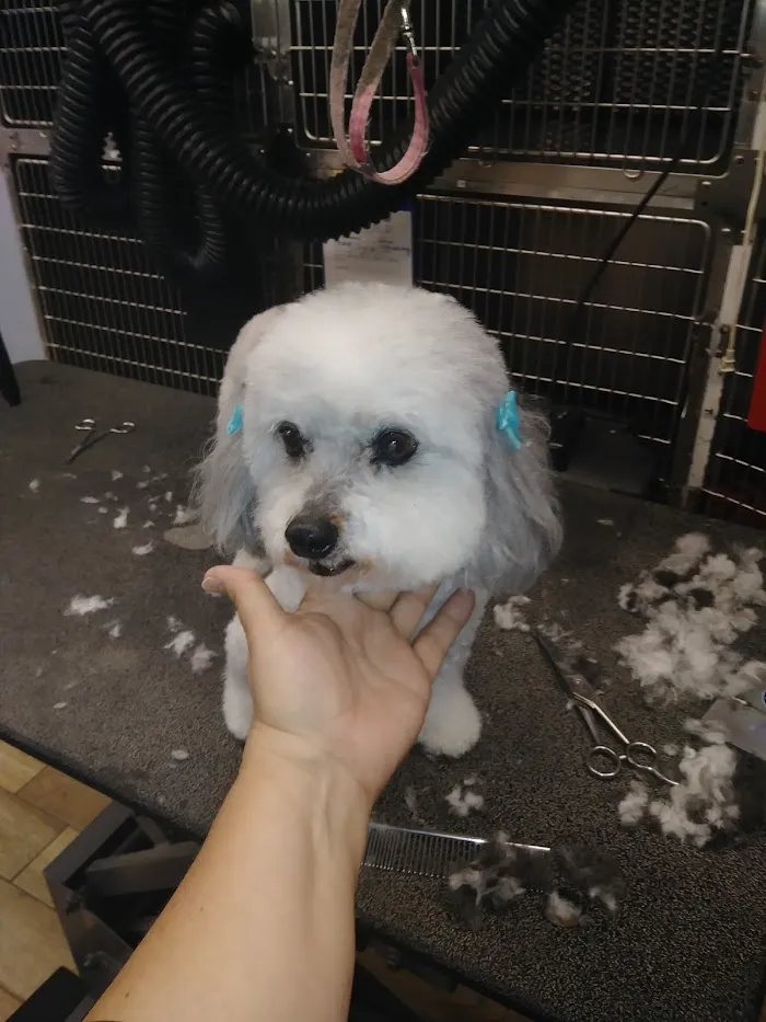 Tails-A-Waggin Animal Hospital & Pet Resort 12