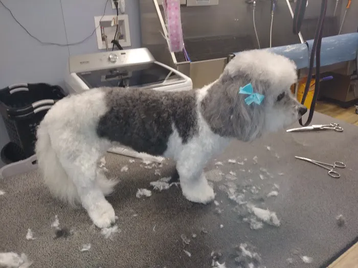 Tails-A-Waggin Animal Hospital & Pet Resort 12