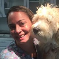 Tails-A-Waggin Animal Hospital & Pet Resort ico