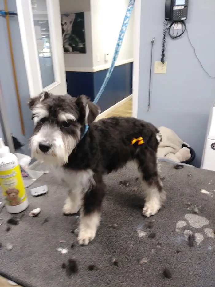 Tails-A-Waggin Animal Hospital & Pet Resort 12
