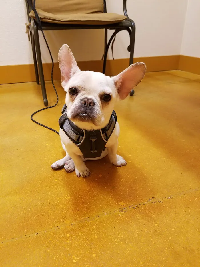 Brown Veterinary Clinic 12