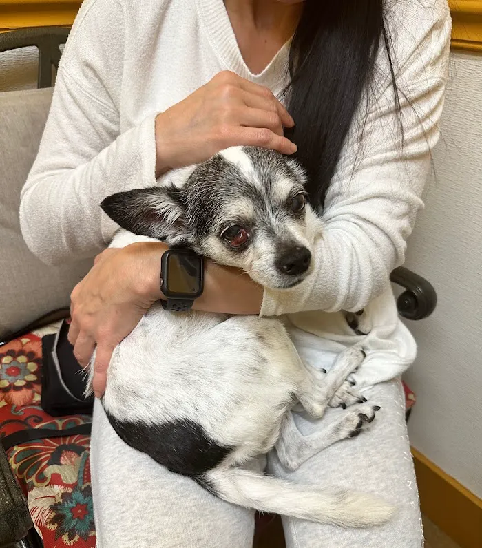 Brown Veterinary Clinic 12
