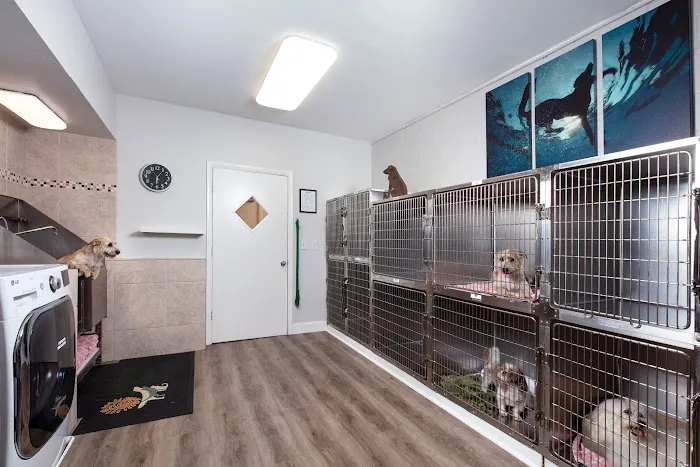 Gulfshore Animal Hospital 12