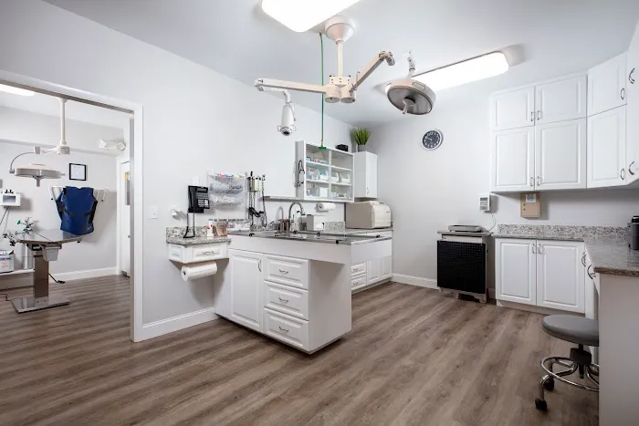 Gulfshore Animal Hospital 12