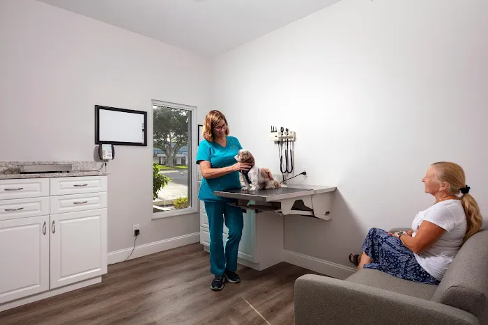 Gulfshore Animal Hospital 12