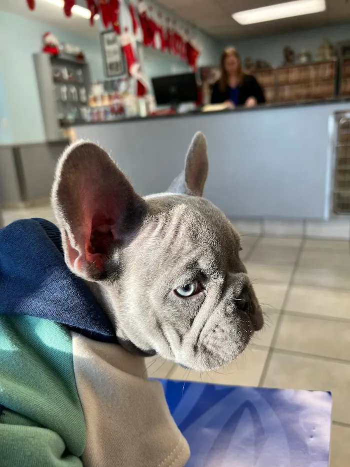 South Trail Animal Hospital 12